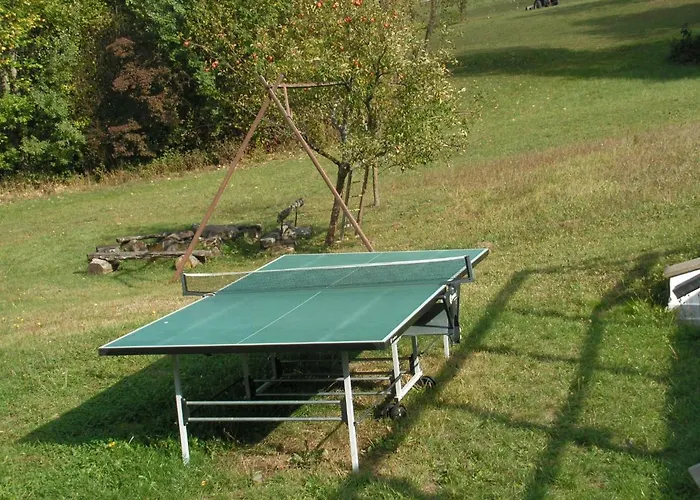 Krkonosska 乡村民宿 塞米利